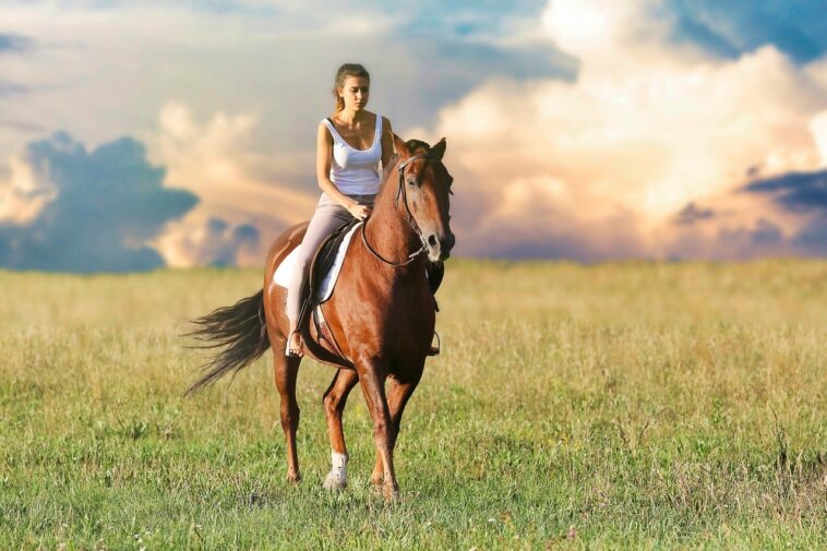 Best Bra For Horse Riding